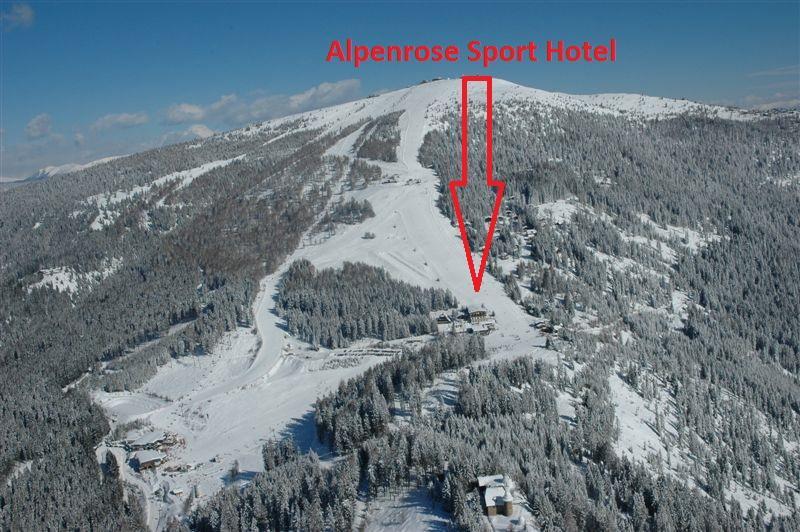 Hotel Alpenrose Treffen Exterior foto